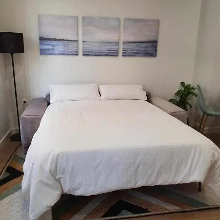 Parras Apartment *